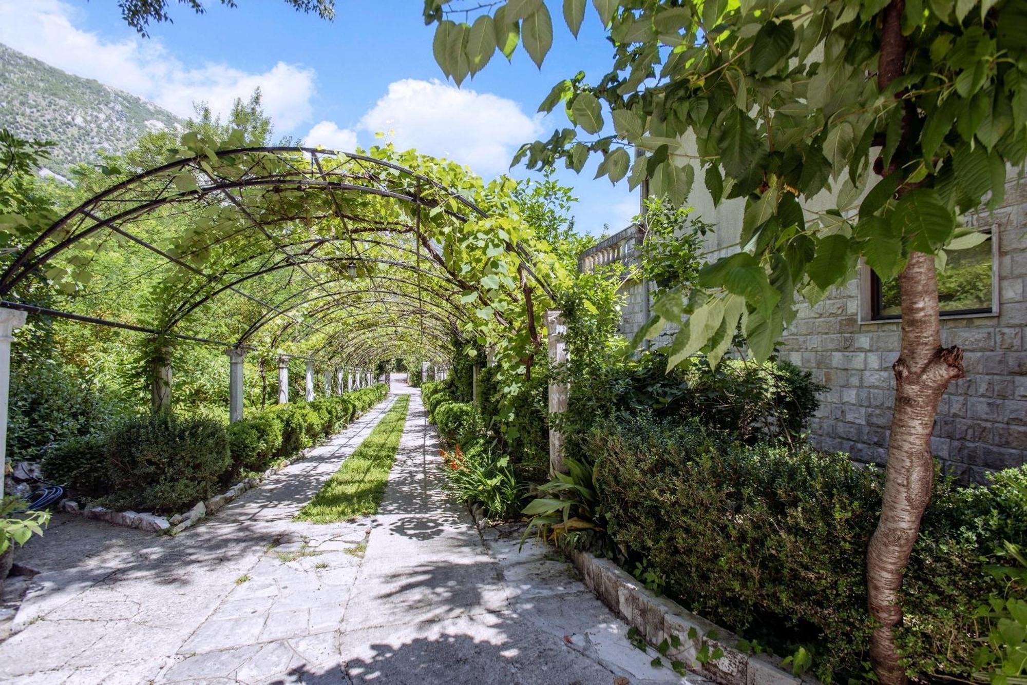 Villa D'Amore Montenegro 唐吉莫利尼 外观 照片